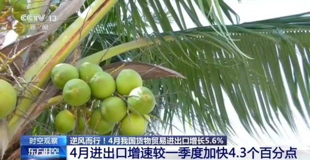 外贸进出口表现亮眼背后的底气九游会J9入口关税战下 中国(图2)